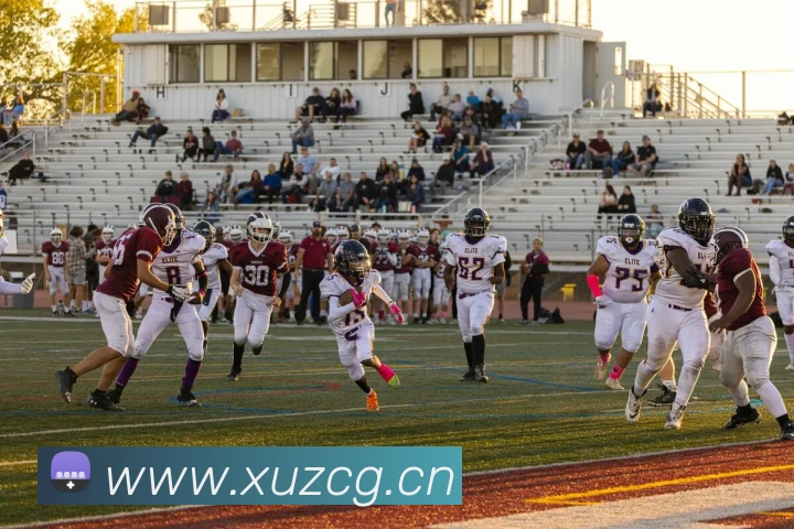 米兰app官网入口链接发展历程